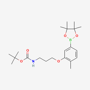 molecular formula C21H34BNO5 B13732778 tert-Butyl (3-(2-methyl-5-(4,4,5,5-tetramethyl-1,3,2-dioxaborolan-2-yl)phenoxy)propyl)carbamate 