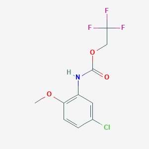 molecular formula C10H9ClF3NO3 B1373311 2,2,2-trifluoroethyl N-(5-chloro-2-methoxyphenyl)carbamate CAS No. 1087788-91-7