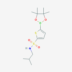 molecular formula C14H24BNO4S2 B13733459 N-isobutyl-5-(4,4,5,5-tetramethyl-1,3,2-dioxaborolan-2-yl)thiophene-2-sulfonamide 