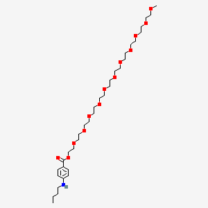 molecular formula C34H61NO13 B13734203 Benzoic acid, p-butylamino-, 2-(2-(2-(2-(2-(2-(2-(2-(2-(2-(2-methoxyethoxy)ethoxy)ethoxy)ethoxy)ethoxy)ethoxy)ethoxy)ethoxy)ethoxy)ethoxy)ethyl ester CAS No. 104399-42-0