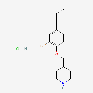 4-{[2-Bromo-4-(tert-pentyl)phenoxy]-methyl}piperidine hydrochloride