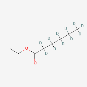 molecular formula C8H16O2 B13735405 Ethyl hexanoate-d11 