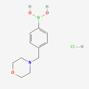 (4-(MorpholinoMethyl)phenyl)boronic acid (hydrochloride)