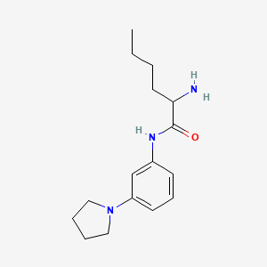 molecular formula C16H25N3O B1373672 2-氨基-N-[3-(吡咯烷-1-基)苯基]己酰胺 CAS No. 1218166-69-8