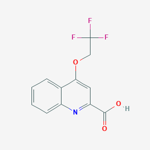 4-(2,2,2-Trifluoroethoxy)quinoline-2-carboxylic acid