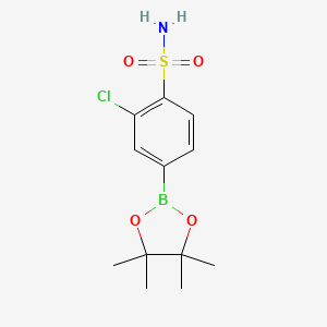 molecular formula C12H17BClNO4S B1374352 2-Chloro-4-(4,4,5,5-tetramethyl-[1,3,2]dioxaborolan-2-yl)-benzenesulfonamide CAS No. 1310956-29-6