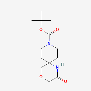 Tert-butyl 2-oxo-4-oxa-1,9-diazaspiro[5.5]undecane-9-carboxylate