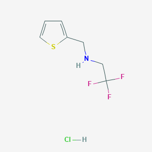 molecular formula C7H9ClF3NS B1374480 (Thiophen-2-ylmethyl)(2,2,2-trifluoroethyl)amine hydrochloride CAS No. 1354963-79-3