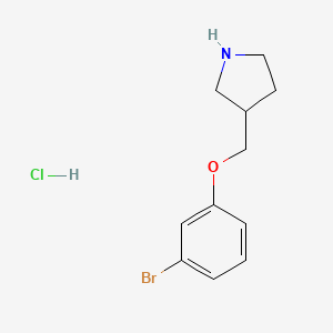 molecular formula C11H15BrClNO B1374507 3-[(3-Bromophenoxy)methyl]pyrrolidine hydrochloride CAS No. 1219982-48-5