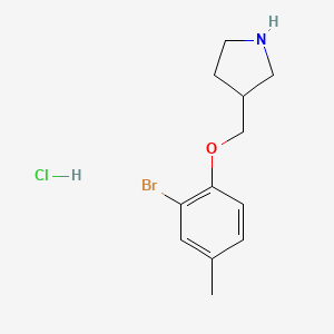 3-[(2-Bromo-4-methylphenoxy)methyl]pyrrolidine hydrochloride