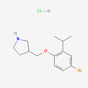 molecular formula C14H21BrClNO B1374532 3-[(4-Bromo-2-isopropylphenoxy)methyl]pyrrolidine hydrochloride CAS No. 1219980-67-2