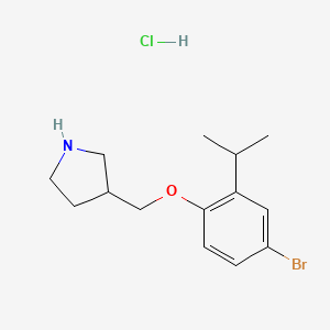 3-[(4-Bromo-2-isopropylphenoxy)methyl]pyrrolidine hydrochloride
