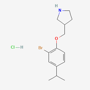 molecular formula C14H21BrClNO B1374535 3-[(2-Bromo-4-isopropylphenoxy)methyl]pyrrolidine hydrochloride CAS No. 1219964-51-8