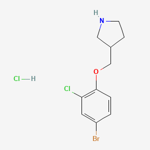 3-[(4-Bromo-2-chlorophenoxy)methyl]pyrrolidine hydrochloride