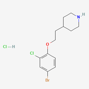 molecular formula C13H18BrCl2NO B1374538 4-[2-(4-Bromo-2-chlorophenoxy)ethyl]piperidine hydrochloride CAS No. 1219981-08-4