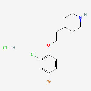 4-[2-(4-Bromo-2-chlorophenoxy)ethyl]piperidine hydrochloride