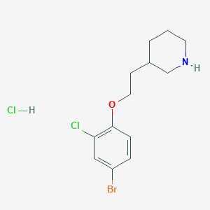 molecular formula C13H18BrCl2NO B1374558 3-[2-(4-Bromo-2-chlorophenoxy)ethyl]piperidine hydrochloride CAS No. 1220018-92-7