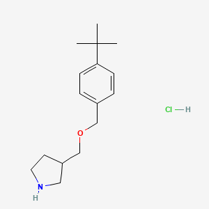 molecular formula C16H26ClNO B1374563 4-(tert-Butyl)benzyl 3-pyrrolidinylmethyl ether hydrochloride CAS No. 1219980-75-2