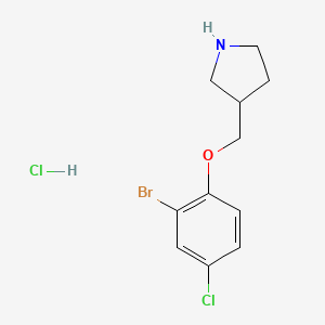 molecular formula C11H14BrCl2NO B1374565 3-((2-Bromo-4-chlorophenoxy)methyl)pyrrolidine hydrochloride CAS No. 1219971-77-3