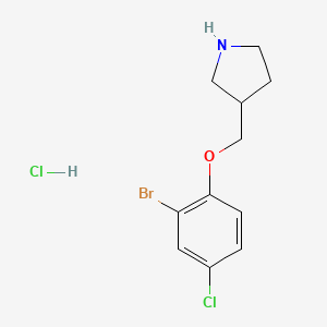 3-[(2-Bromo-4-chlorophenoxy)methyl]pyrrolidine hydrochloride