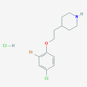 molecular formula C13H18BrCl2NO B1374567 4-[2-(2-Bromo-4-chlorophenoxy)ethyl]piperidine hydrochloride CAS No. 1220019-56-6