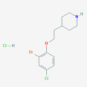 4-[2-(2-Bromo-4-chlorophenoxy)ethyl]piperidine hydrochloride