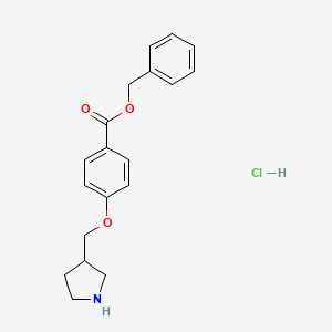 Benzyl 4-(3-pyrrolidinylmethoxy)benzoate hydrochloride