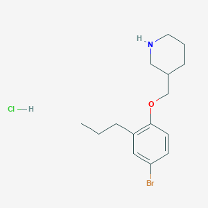 molecular formula C15H23BrClNO B1374569 3-[(4-Bromo-2-propylphenoxy)methyl]piperidine hydrochloride CAS No. 1220032-67-6