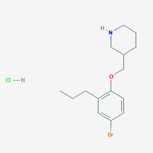 3-[(4-Bromo-2-propylphenoxy)methyl]piperidine hydrochloride