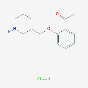 molecular formula C14H20ClNO2 B1374570 1-[2-(3-Piperidinylmethoxy)phenyl]-1-ethanone hydrochloride CAS No. 1220021-13-5