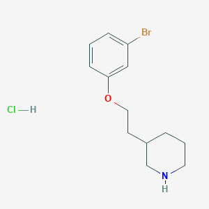 molecular formula C13H19BrClNO B1374576 3-[2-(3-Bromophenoxy)ethyl]piperidine hydrochloride CAS No. 1219976-49-4
