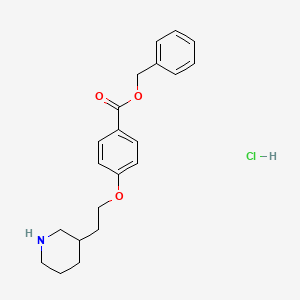 Benzyl 4-[2-(3-piperidinyl)ethoxy]benzoate hydrochloride