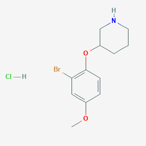 molecular formula C12H17BrClNO2 B1374579 3-(2-溴-4-甲氧基苯氧基)哌啶盐酸盐 CAS No. 1220017-01-5