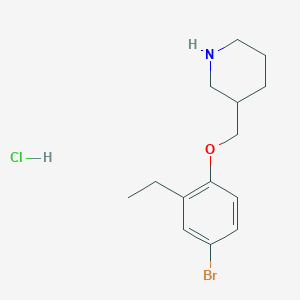 molecular formula C14H21BrClNO B1374580 3-[(4-Bromo-2-ethylphenoxy)methyl]piperidine hydrochloride CAS No. 1219967-67-5
