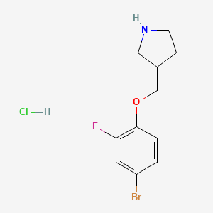 molecular formula C11H14BrClFNO B1374583 3-[(4-溴-2-氟苯氧基)甲基]吡咯烷盐酸盐 CAS No. 1219982-63-4