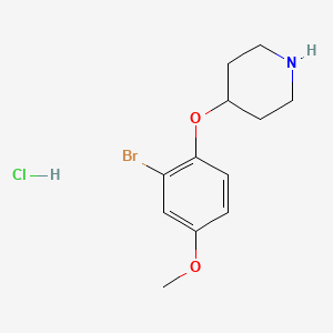 4-(2-Bromo-4-methoxyphenoxy)piperidine hydrochloride