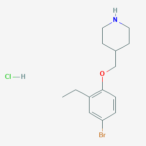 molecular formula C14H21BrClNO B1374863 4-[(4-Bromo-2-ethylphenoxy)methyl]piperidine hydrochloride CAS No. 1219967-59-5