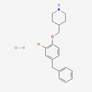 4-[(4-Benzyl-2-bromophenoxy)methyl]piperidine hydrochloride