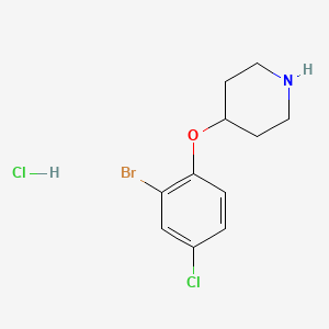 4-(2-Bromo-4-chlorophenoxy)piperidine hydrochloride
