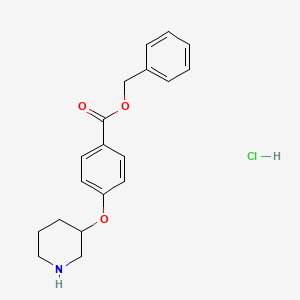 molecular formula C19H22ClNO3 B1374868 Benzyl 4-(3-piperidinyloxy)benzoate hydrochloride CAS No. 1219976-61-0