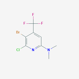 (5-Bromo-6-chloro-4-trifluoromethyl-pyridin-2-YL)-dimethyl-amine