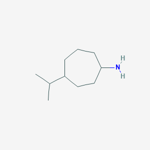 molecular formula C10H21N B1375238 4-(Propan-2-yl)cycloheptan-1-amine CAS No. 1495590-92-5