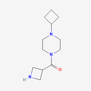 molecular formula C12H21N3O B1375336 1-(氮杂环丁-3-羰基)-4-环丁基哌嗪 CAS No. 1238877-84-3