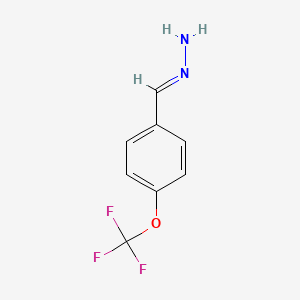 molecular formula C8H7F3N2O B13755047 (E)-[4-(trifluoromethoxy)phenyl]methylidenehydrazine 