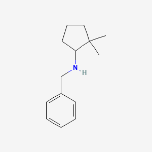 molecular formula C14H21N B1376083 N-benzyl-2,2-dimethylcyclopentan-1-amine CAS No. 1376297-47-0