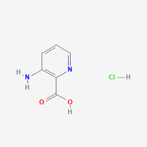 molecular formula C6H7ClN2O2 B1376126 3-Aminopicolinic acid hydrochloride CAS No. 1588441-17-1