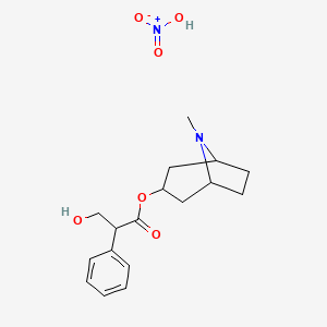 molecular formula C17H24N2O6 B13764019 Atropine nitrate CAS No. 7459-97-4