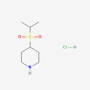 molecular formula C8H18ClNO2S B1377179 4-(Propane-2-sulfonyl)piperidine hydrochloride CAS No. 1427378-84-4