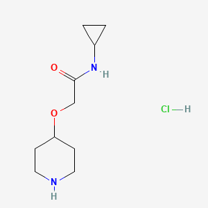 molecular formula C10H19ClN2O2 B1377291 N-cyclopropyl-2-(piperidin-4-yloxy)acetamide hydrochloride CAS No. 1260763-15-2