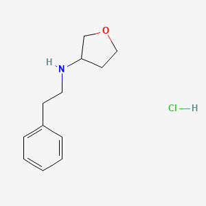 N-(2-phenylethyl)oxolan-3-amine hydrochloride